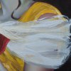 Spaanse Sterre detail
